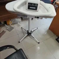 اتو بخار پرس ایستاده