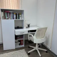 میز تحریر و کتابخانه