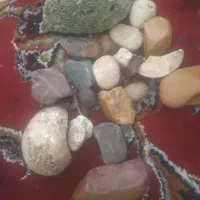 شخصی گوی تخم مرعی