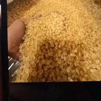 گرانول پلی اتیلن