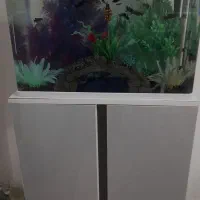 اکواریم‌