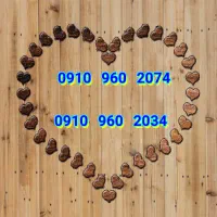 فروش خط 910