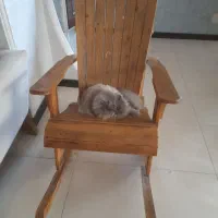 صندلی راحتی