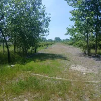 204-متر-زمین-سند-دار-سرمایه-گذاری