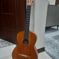 گیتار نو