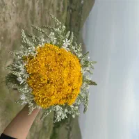دسته گل طبیعی