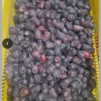 کار گر زن خرما جم کن