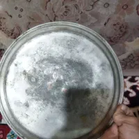 سینی مسی