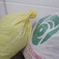 گیاه شاطره