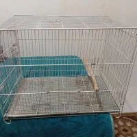 قفس 60*60 سالم و بدون زنگ زدگی و ...