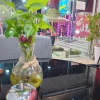 پخش غذاهای رستورانی محدوده منطقه ازاد کاسپین