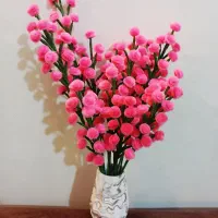 انواع گل مخملی پیپ پاکنی