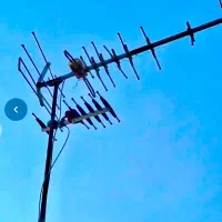 نصاب آنتن - نصب تلویزیون و براکت وگیرنده دیجیتال