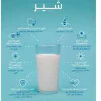 کار در مغازه ماست بندی