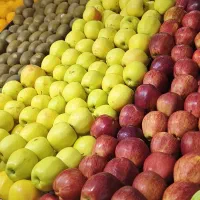 نیازمند ایسوزو 6تن