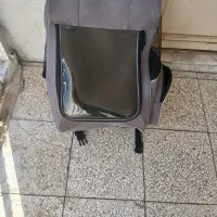 وسایل گربه