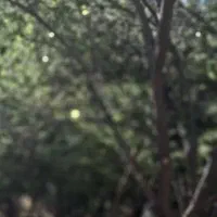باغ با ۴۷دقیقه آب و درختان میوه برق خورشیدی