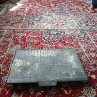 قفس|لوازم جانبی حیوانات|رضویه, |دیوار