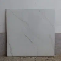 سرامیک فقط متری۱۹۵ تومان