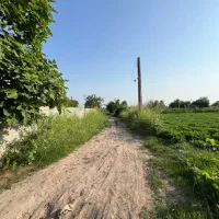 ده-هزار-و-صد-مترزمین-باغی-آب-برق-گاز-پای-زمین