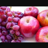 اکیپ کارگر باغ با سابقه