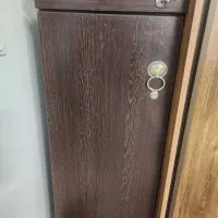 جاکفشی بلند، چهارپایه