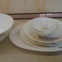 سرویس غذاخوری طرح پر