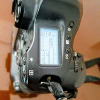 Canon EOS 1D Mark III - 3|دوربین عکاسی و فیلمبرداری|مشهد, اقبال|دیوار