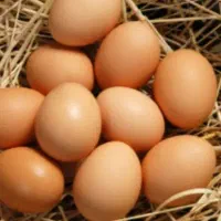 تخم مرغ بومی