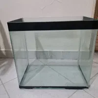 اکواریوم