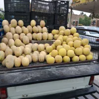 باربند پیکان وانت مبلی