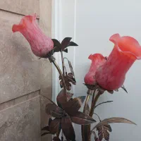 فروش گل فرفوژه