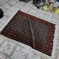 راننده قالیشویی ابریشم