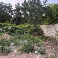 زمین-براصلی-صیادشیرازی