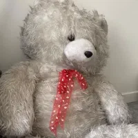 شاسخین