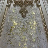 کار آموز پتینه