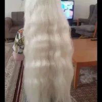 هرگرم موی سرتوتبدیل به پول کن