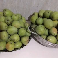 گلابی
