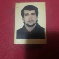 فروش پکیچ با کدهای مختلف و قیمت مناسب زمردونقره ای