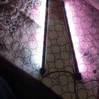 led