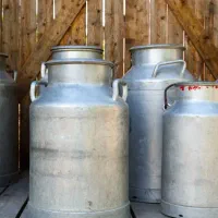 شیر جوشیده پرچرب برای بستنی فروش ها