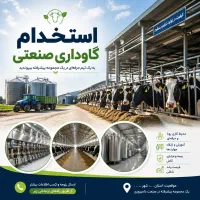 کارگر برای کار در گاوداری صنعتی