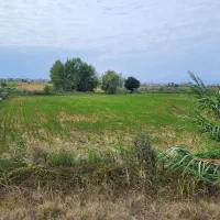 زمین-کشاورزی