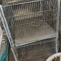 قفس پرنده کبوتر مرغ طوطی کبک