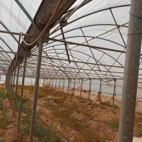 فروش اسکلت گلخانه