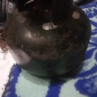 پیک نیک سالم