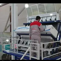 نیروی آقا جهت واحد بسته بندی و سورتینگ برنج