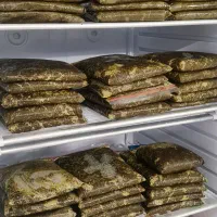 سبزی سرخ شده خانگی فروشگاه مادربزرگ