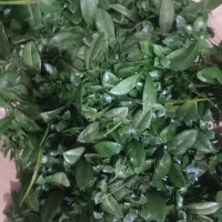 دیوارپوش گل مصنوعی