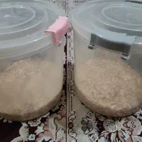 سطل|ظروف نگهدارنده، پلاستیکی، یک‌بارمصرف|اهواز, سپیدار|دیوار